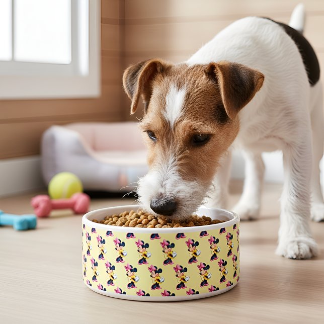 Comedero Minni Bowl (Subido por el creador)