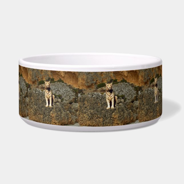 Comedero Mirador del Tigre Blanco,    (Frente)