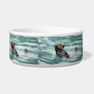 Comedero Mirando el Otter marino