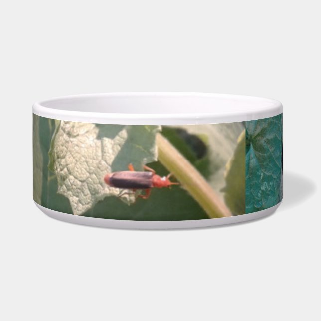 Comedero MIS MASCOTAS BOWL/MED.&LG / CERAMIC /#mmetropolim (Izquierda)