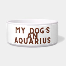 Mis perros y Aquarius