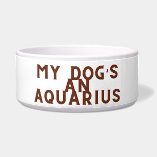 Comedero Mis perros y Aquarius