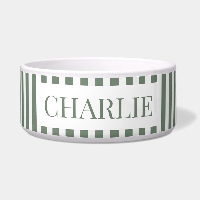 Comedero Modern Green Stripes Pattern Personalized Dog Pet (Frente)