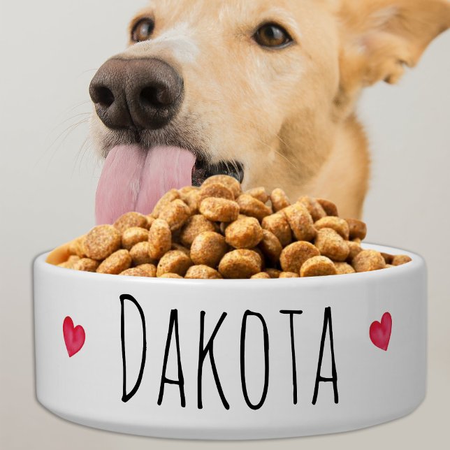 Comedero Moderno y simple Mascota de gatos de perro persona (Subido por el creador)