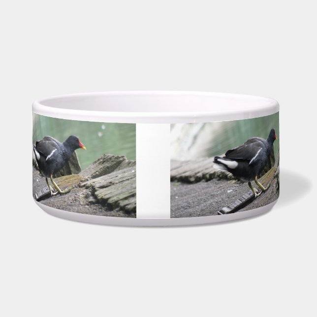 Comedero Moorhen Dog Bowl (Frente)