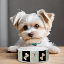 Morkie Tazón De Perro Con Hueso