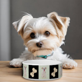 Comedero Morkie Tazón De Perro Con Hueso