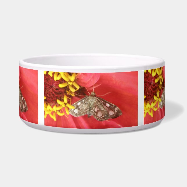 Comedero Moth de bonito en el tazón de perro de flores roja (Frente)