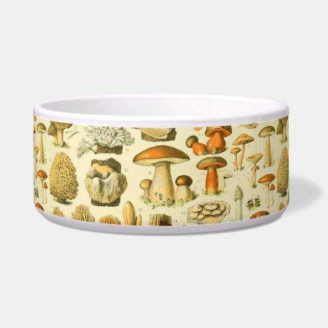 Comedero Mushroom Vintage Toadstool Ilustracion antiguo (Frente)