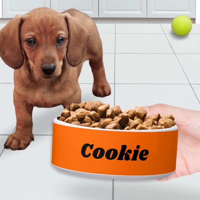 Comedero Naranja Brillante Estilo Moderno Personalizado Per (An orange dog bowl, single color with white trim, personalized with your pet's name in a modern font)