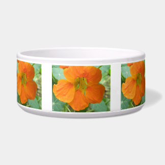 Comedero Naranja Nasturtium Flower Dog Bowl
