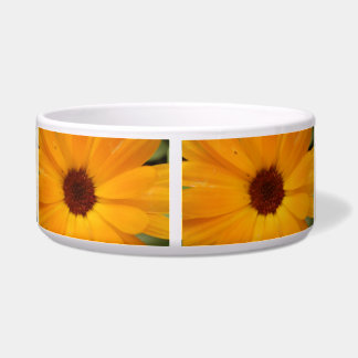 Comedero Naranja Rain Daisy Dog Bowl
