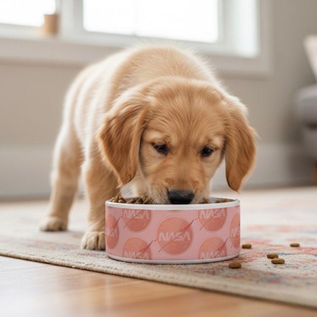 Comedero Nasa Bowl (Subido por el creador)