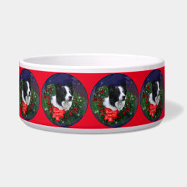 Comedero Navidades de Border Collie
