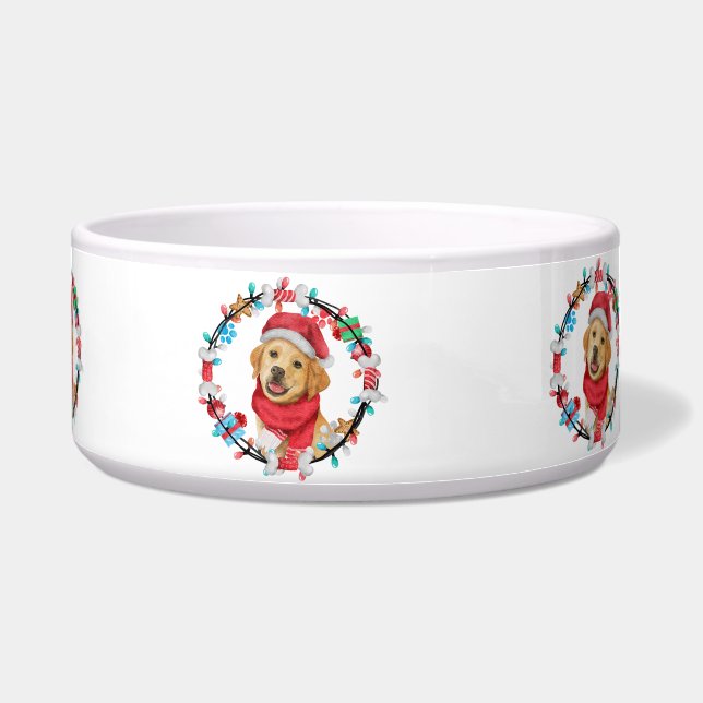 Comedero Navidades de dugongia (Frente)