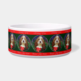 Comedero Navidades de Petit Basset Griffon Vendeen