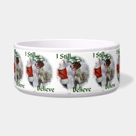 Comedero Navidades de punteros de Shorthtransmitidos de Ale