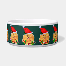 Comedero Navidades de Santa Pomerania