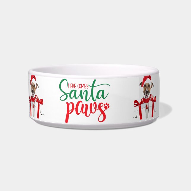 Comedero Navidades Dog Bowl (Frente)