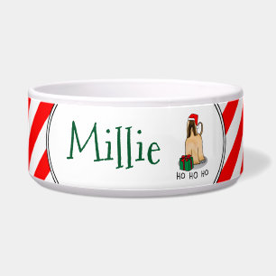 Comedero Navidades Santa Hat Perro perro hebilla afgana