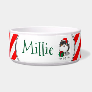 Comedero Navidades Santa Hat Pomeranian (tricolor) Cute