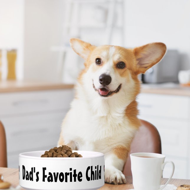 Comedero Niño favorito de papá, mascota divertido cerámica  (Subido por el creador)