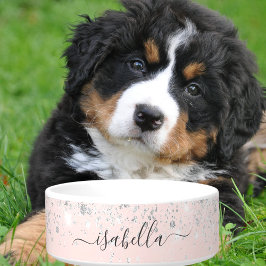 Comedero Nombre de polvo del purpurina de plata de color ro