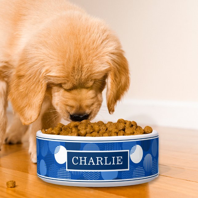 Comedero Nombre del patrón de punto de la polka azul modern (Subido por el creador)