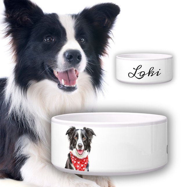 Comedero Nombre del perro del collar de la frontera feliz (Subido por el creador)