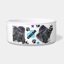 NOMBRE MODERNO DE TENDENCIA AMANTE DE MASCOTAS, FO
