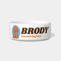 Nombre personalizado del amante del perro del cach