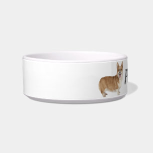 Comedero Nombre personalizado Galés Corgi Dog Mascota Anima