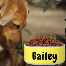 Comedero Nombre personalizado personalizado Foto Mascota de