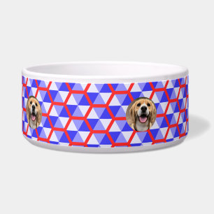Comedero Nombre personalizado único alimento para perros mo