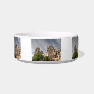 Comedero Notre Dame