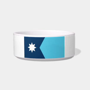 Comedero nueva bandera-sello de Minnesota
