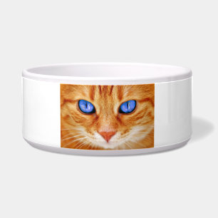 Comedero Ojos de gato cara caballa roja gato