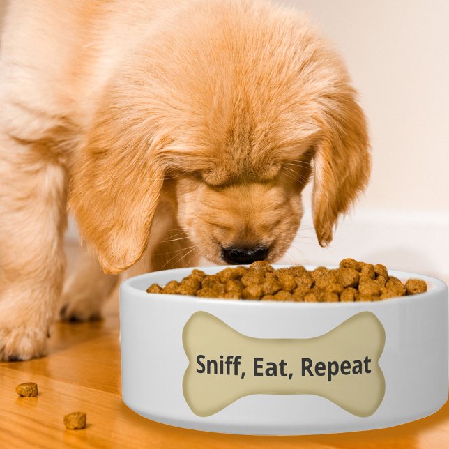 Comedero Oler, Comer, Repetir, Hueso de Perro Tazón Diverti (The life of the moment you dog goes to his or her food bowl!)