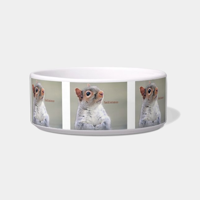 Comedero Oliver Twist Squirrel (Frente)