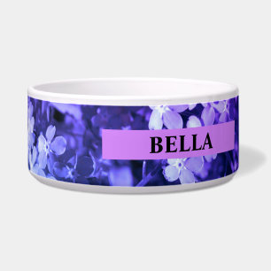 Comedero Olvídate de que no