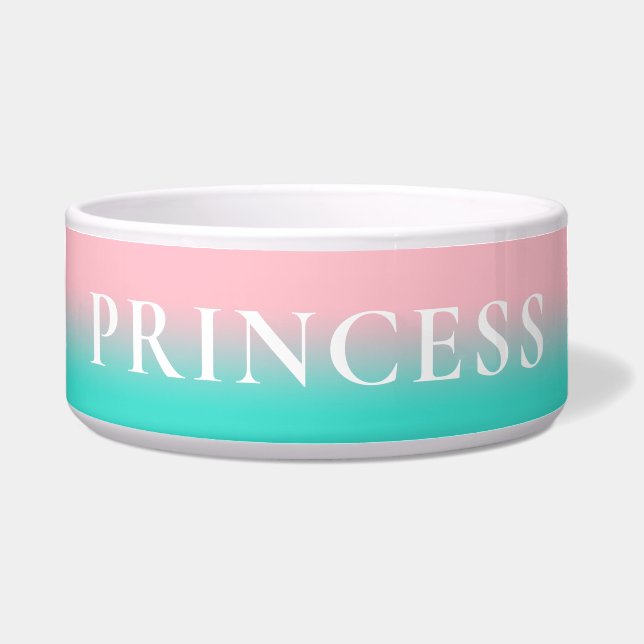 Comedero Ombre rosa y turquesa (Frente)