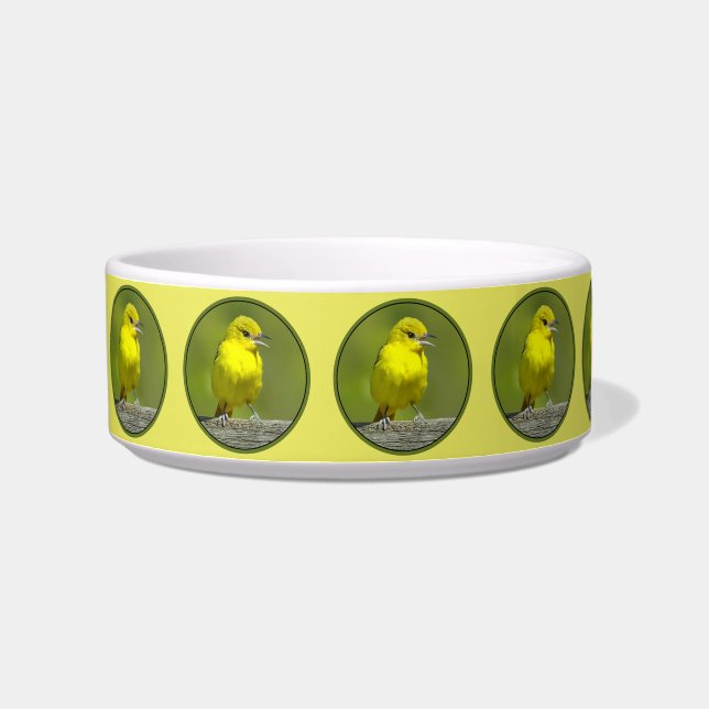 Comedero Orchard Oriole - Foto original (Izquierda)