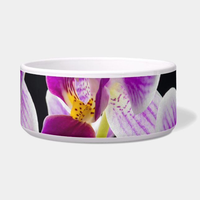 Comedero Orquídea blanca y púrpura (Frente)