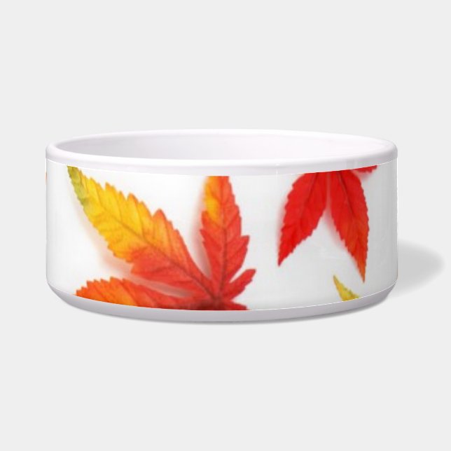 Comedero Otoño deja a Pet Bowl (Frente)