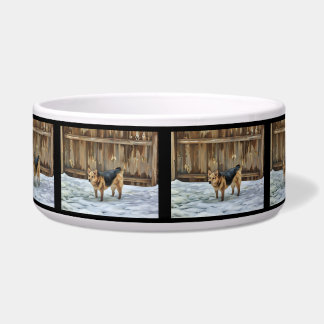 Comedero Oveja Alemana En El Bollo De Nieve Medio