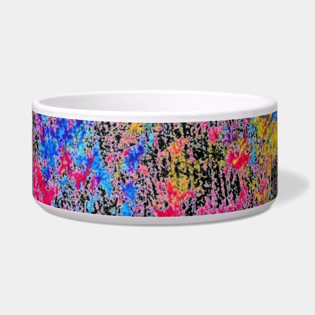 Comedero Paint Pet Bowl (Frente)