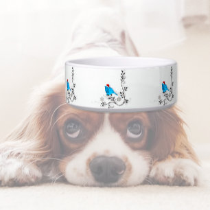 Comedero Pájaro azul en los Navidades