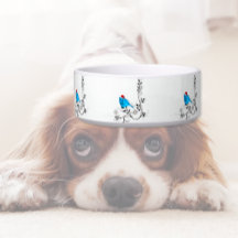 Pájaro azul en Navidad