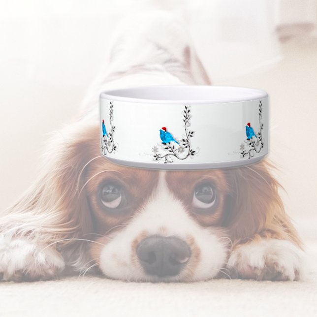 Comedero Pájaro azul en Navidad (Subido por el creador)