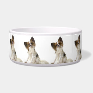 Comedero Papillon